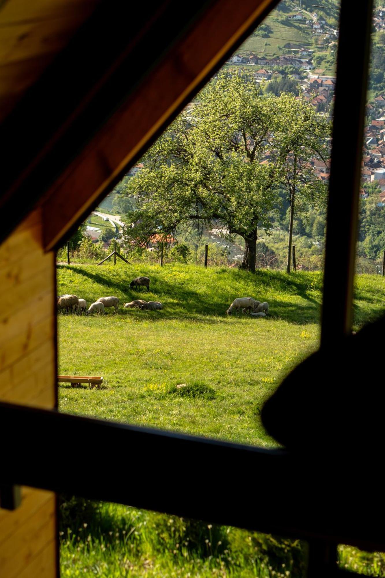 Woodhouse Villa Bijelo Polje Exterior photo